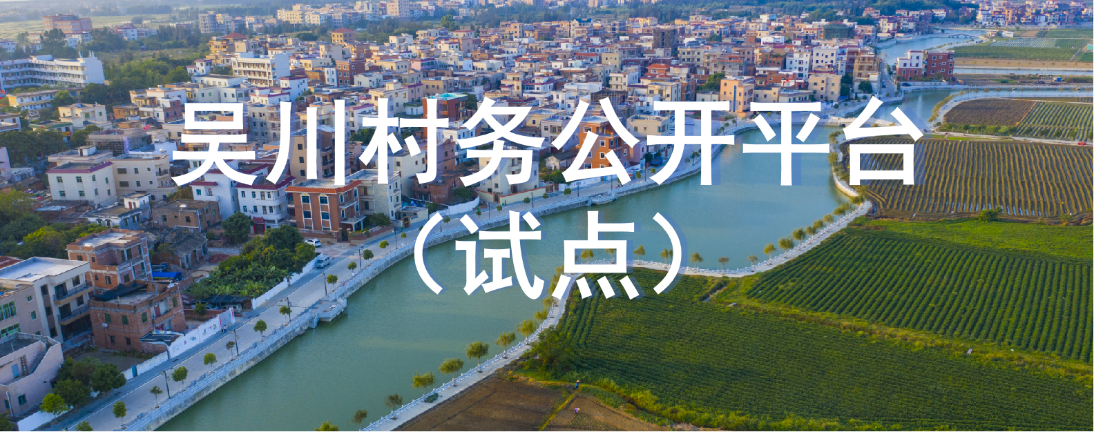 吳川市村務公開平臺