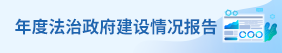 年度法治政府建設(shè)情況報(bào)告