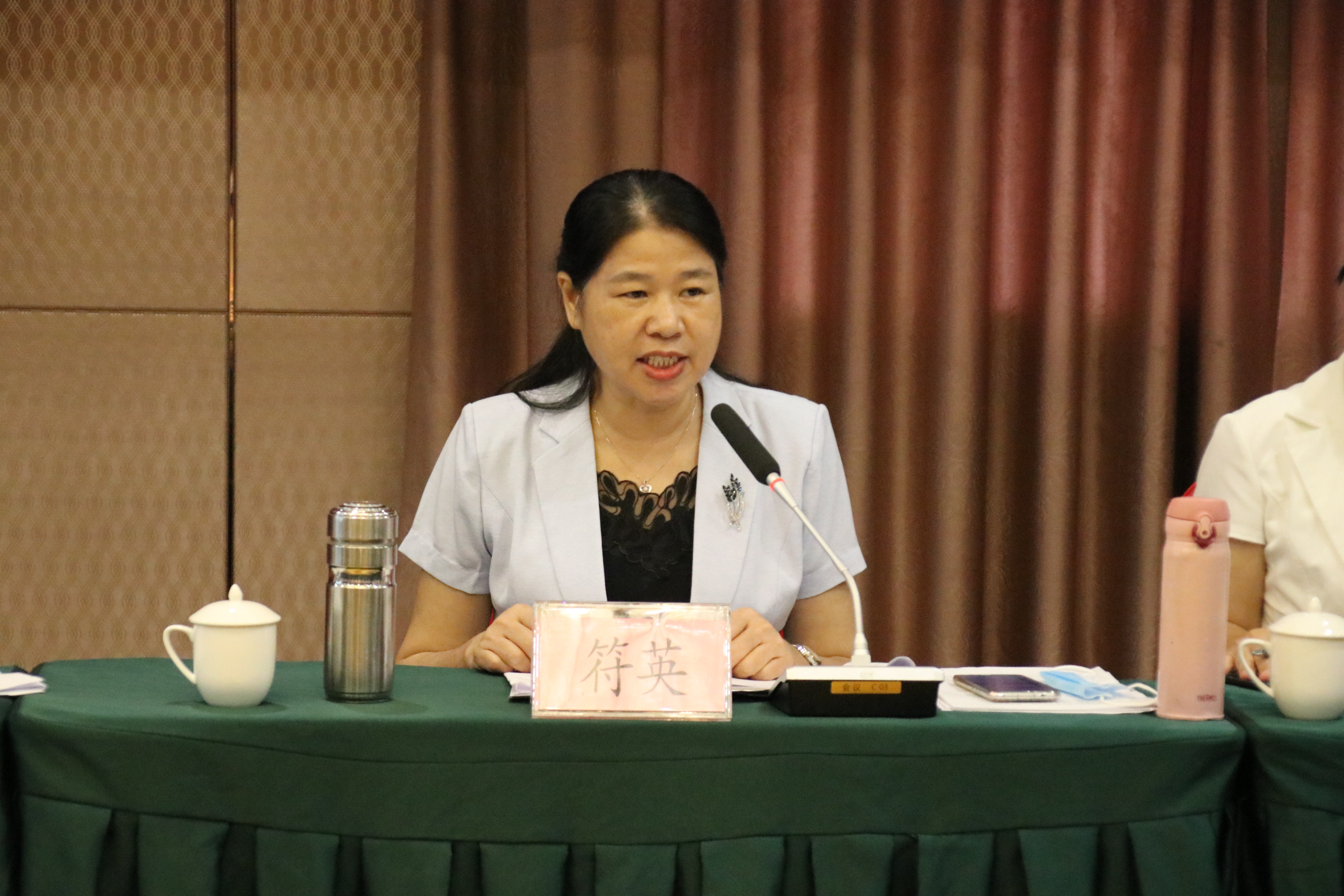 會議由湛江市婦聯黨組成員、副主席符英主持。.JPG