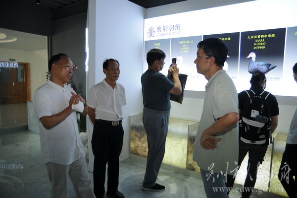 王德友（左一）一行在湛江紫荊羽絨制品有限公司參觀考察。.JPG
