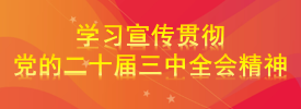 學(xué)習(xí)宣傳貫徹黨的二十屆三中全會(huì)精神