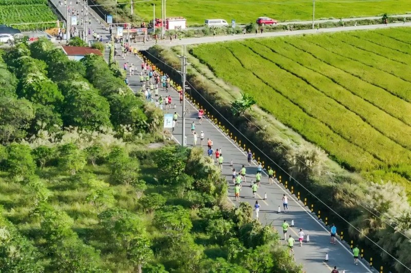 11月17日，2024佛山高明稻田馬拉松開跑。圖源：廣東體育